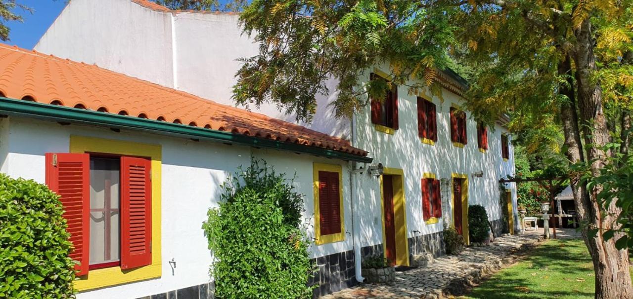 Quinta Flores Ferreira do Zêzere Екстериор снимка