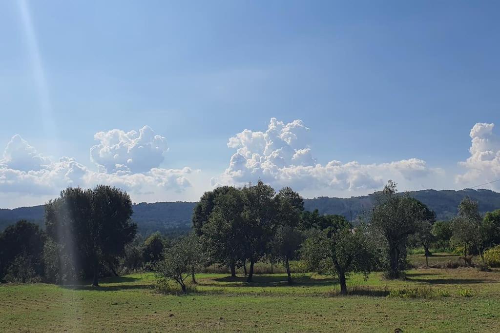 Quinta Flores Ferreira do Zêzere Екстериор снимка