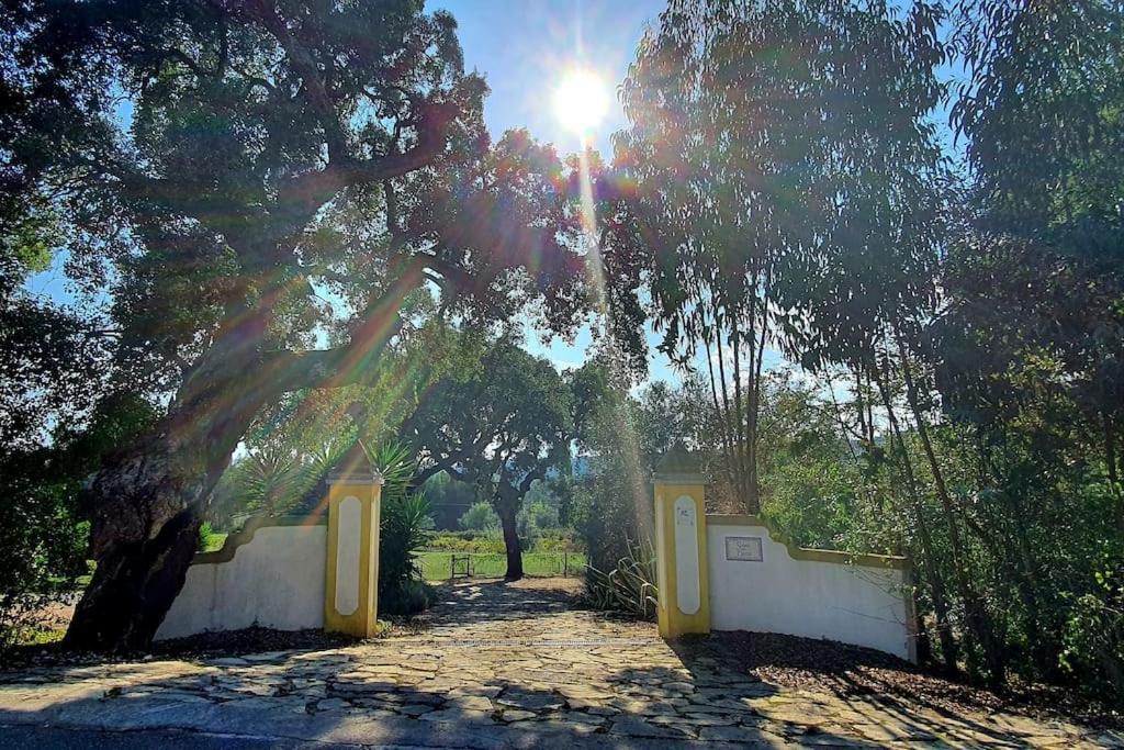 Quinta Flores Ferreira do Zêzere Екстериор снимка