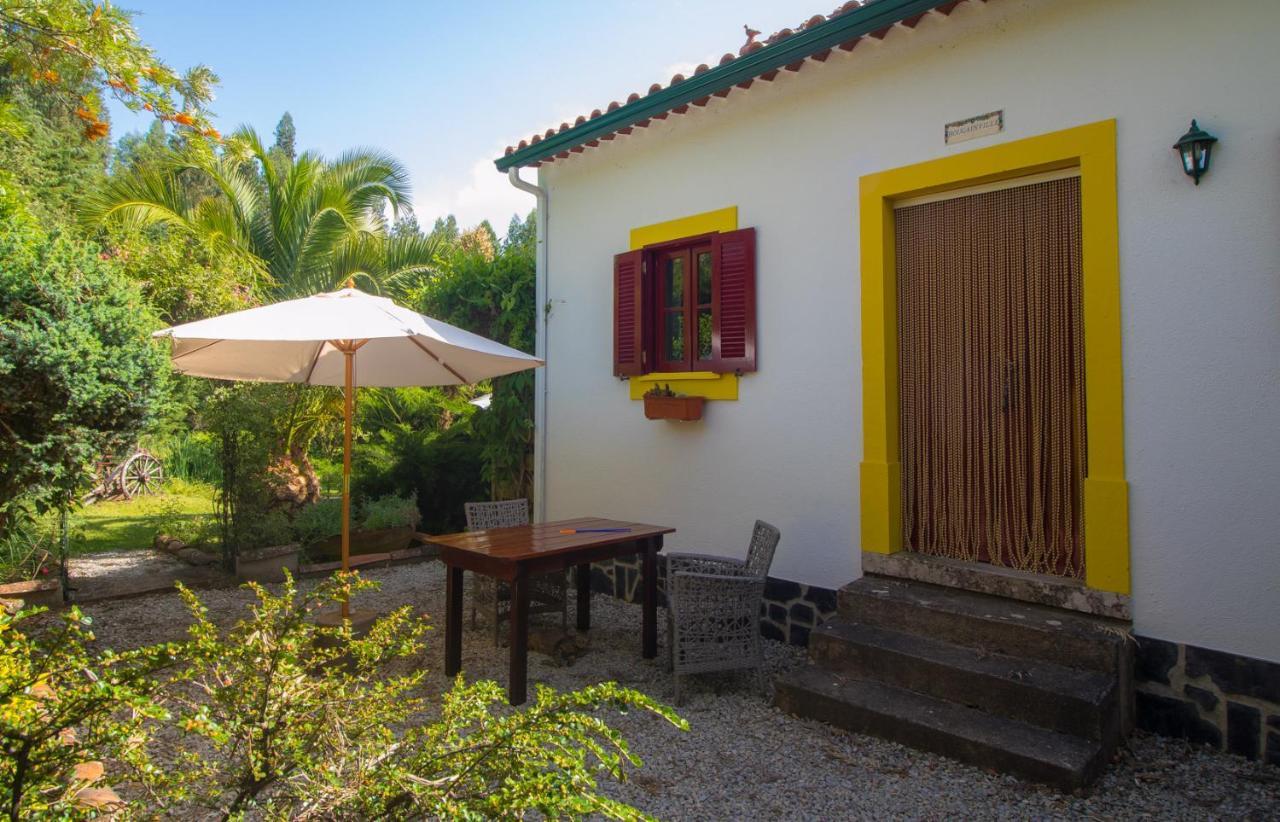 Quinta Flores Ferreira do Zêzere Екстериор снимка
